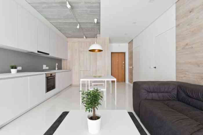 Design apartment minimalist modern interior bajura oleg Design apartment minimalist modern interior bajura oleg