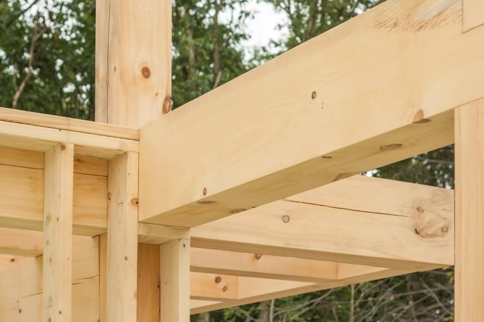 Wooden Beams in Home A Comprehensive Guide