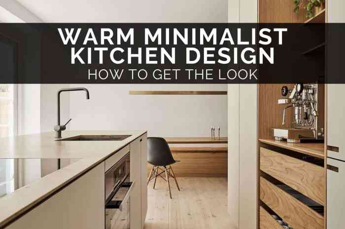 Minimalist Kitchen Design Form Meets Function