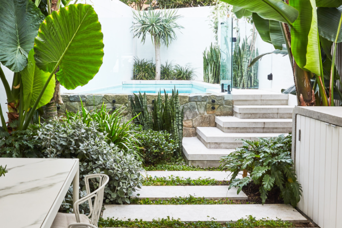 Tropical garden minimalist home
