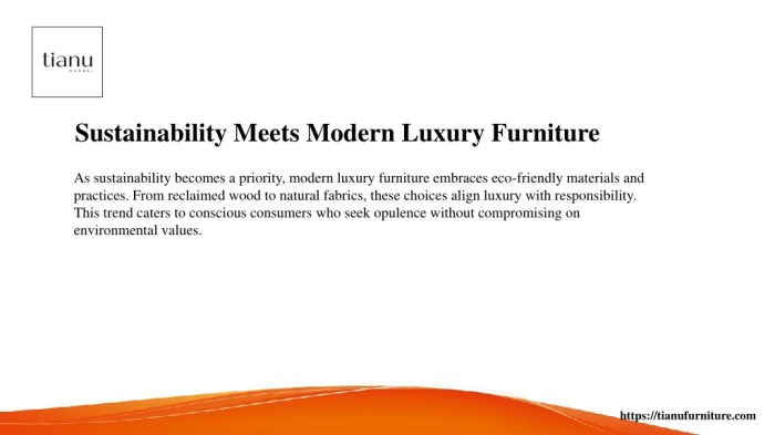 Modern luxury home furniture design